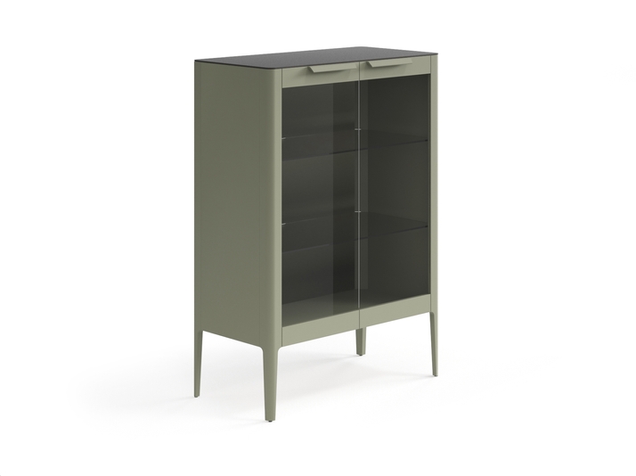 Мебель Витрина Piega. Цвет Матовый оливковый тёмный. Материал Гладкая эмаль. Коллекция Витрина Piega. Картинка.