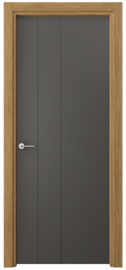 Межкомнатная дверь 4203 ПЭГФ. Цвет ПЭТ графитовый. Материал ПЭТ. Коллекция Freedom. Фото. Дверь межкомнатная 4203 ПЭГФ. Цвет ПЭТ графитовый. Материал ПЭТ. Коллекция Freedom. Картинка.